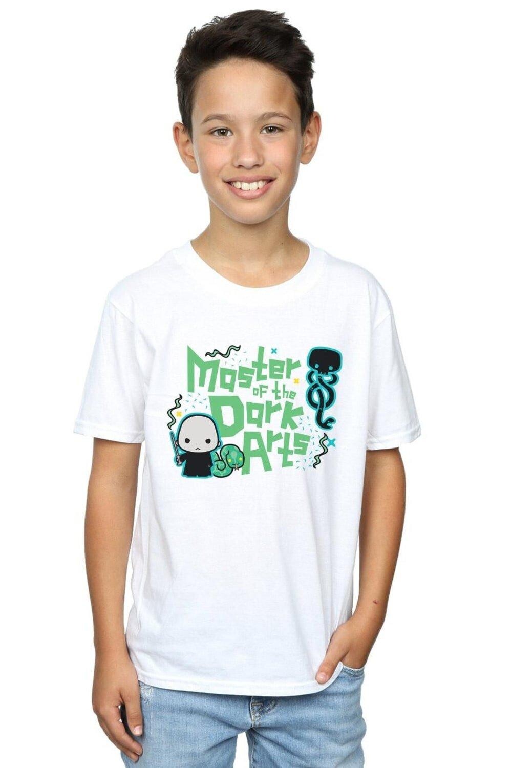 Футболка Волдеморта «Темные искусства» Harry Potter, белый
Футболка Волдеморта «Темные искусства» Harry Potter, белый