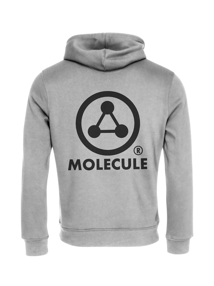 Толстовка Molecule, серый
Толстовка Molecule, серый