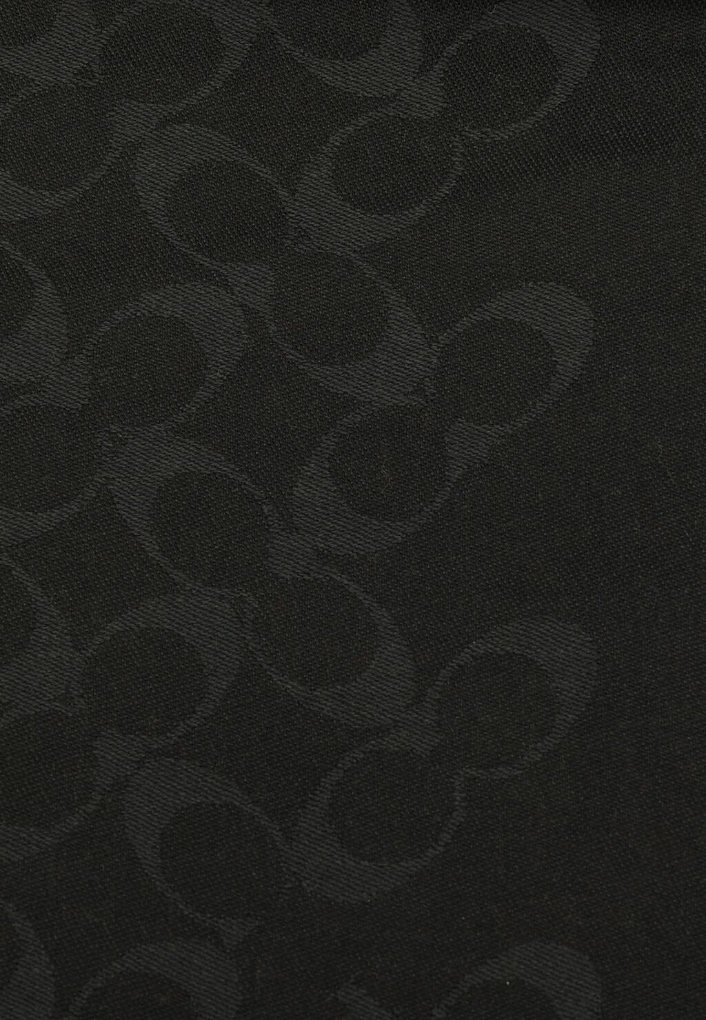 Шарф BIAS SIGNATURE OBLONG COACH, черный
Шарф BIAS SIGNATURE OBLONG COACH, черный