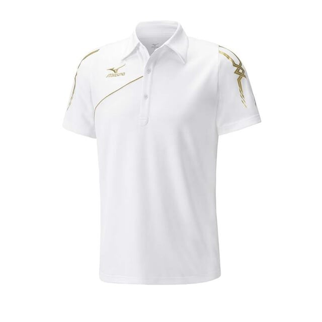 Мужская рубашка-поло Drylite Mizuno, белый
Мужская рубашка-поло Drylite Mizuno, белый