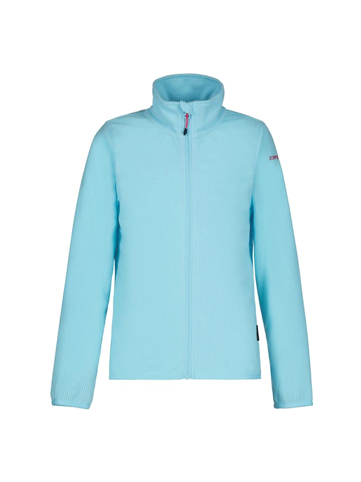 Флисовая куртка Kimball Jr светло-голубого цвета Icepeak
Флисовая куртка Kimball Jr светло-голубого цвета Icepeak