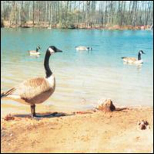 CD диск Doldrums: Secret Life of Machines 
CD диск Doldrums: Secret Life of Machines