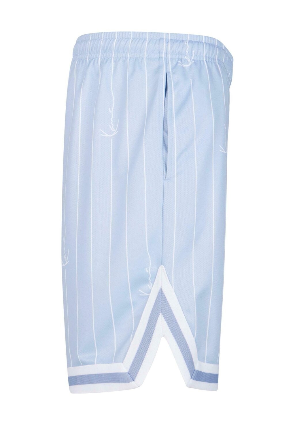 Шорты Small Varsity Logo Karl Kani, светло-голубые белые
Шорты Small Varsity Logo Karl Kani, светло-голубые белые