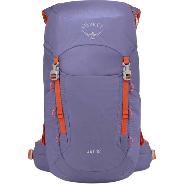 OSPREY Детский альпинистский рюкзак из нейлона фиолетовый, Purple
OSPREY Детский альпинистский рюкзак из нейлона фиолетовый, Purple