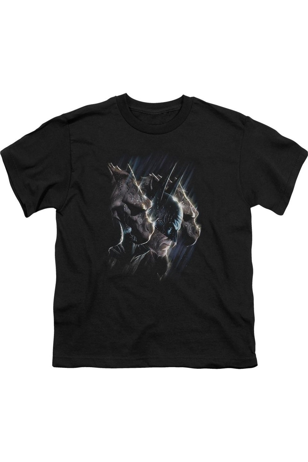 Футболка с коротким рукавом для детей Batman Gargoyles Gildan, черный
Футболка с коротким рукавом для детей Batman Gargoyles Gildan, черный