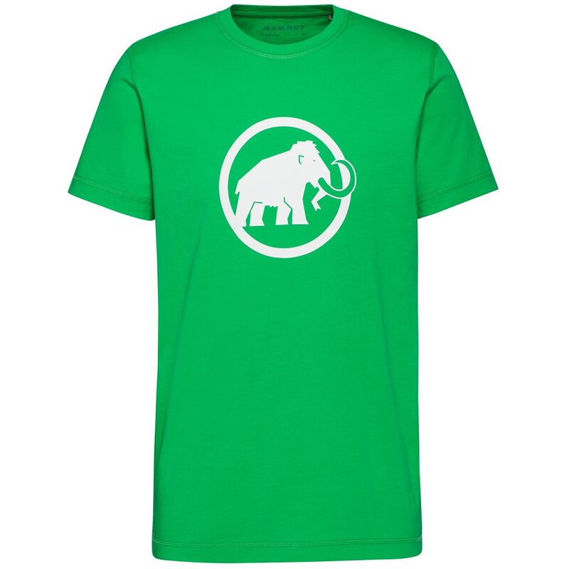 Футболка Mammut Core, классическая футболка Mammut, цвет pinea
Футболка Mammut Core, классическая футболка Mammut, цвет pinea