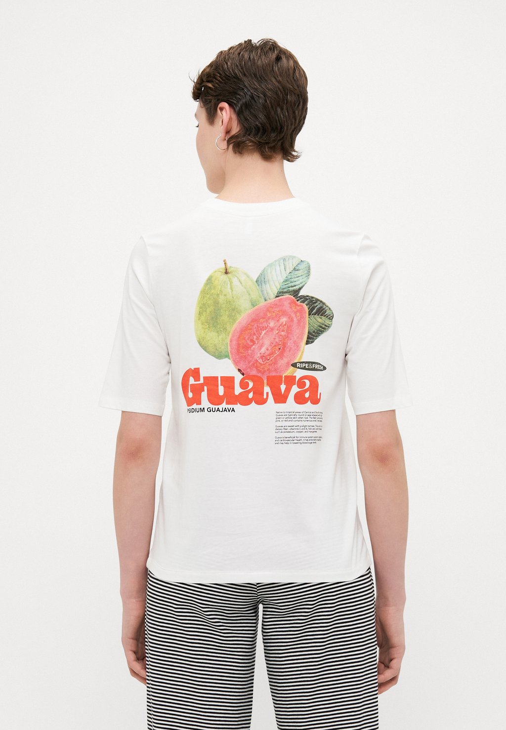 Футболка с принтом ONLPHOEBE FRESH ONLY Tall, кремовый
Футболка с принтом ONLPHOEBE FRESH ONLY Tall, кремовый