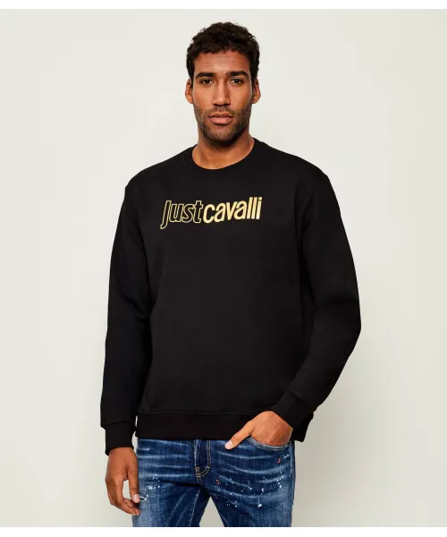 Толстовка Regular fit Just Cavalli, черный
Толстовка Regular fit Just Cavalli, черный