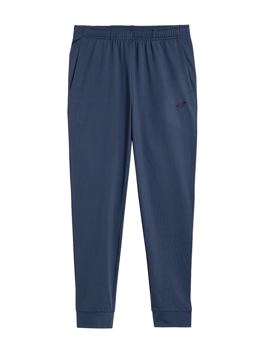 Спортивные брюки 4F Regular Workout Pants, морской синий
Спортивные брюки 4F Regular Workout Pants, морской синий