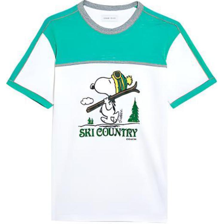 Футболка мужская бело-зеленая COACH
Футболка мужская бело-зеленая COACH