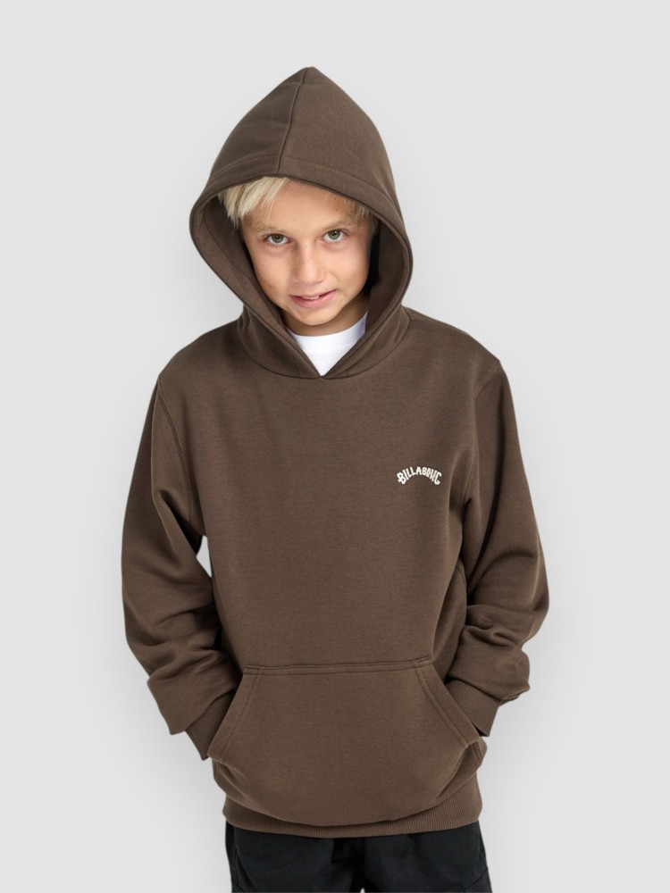 Толстовка Billabong Arch Kids Hoodie, dark cedar
Толстовка Billabong Arch Kids Hoodie, dark cedar