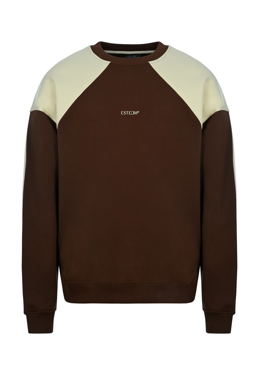 Толстовка ESTEEM Two Tone Oversized, коричневый
Толстовка ESTEEM Two Tone Oversized, коричневый