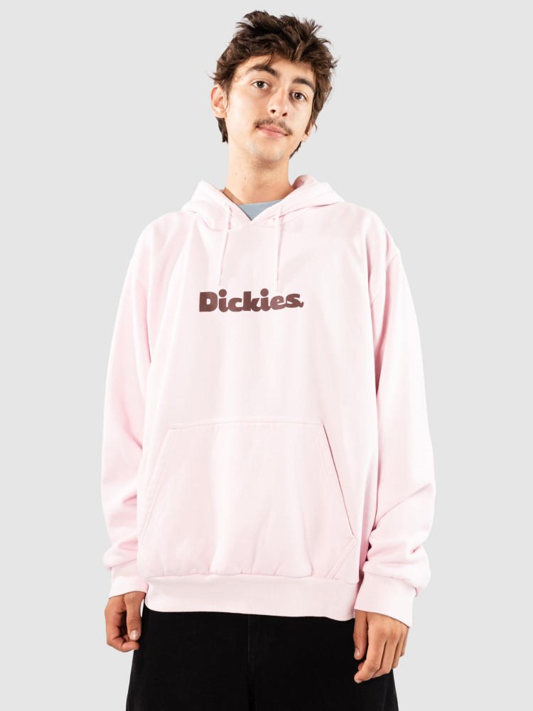 Худи Dickies Slayden Gd Hoodie, winsome orchid
Худи Dickies Slayden Gd Hoodie, winsome orchid