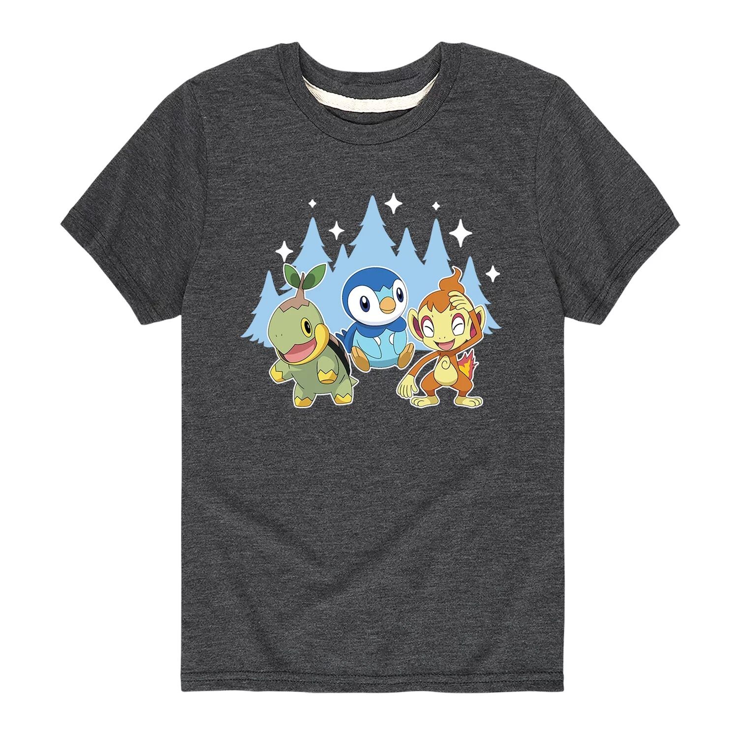 Зимняя групповая футболка Pokemon Sinnoh для мальчиков 8–20 лет Licensed Character
Зимняя групповая футболка Pokemon Sinnoh для мальчиков 8–20 лет Licensed Character