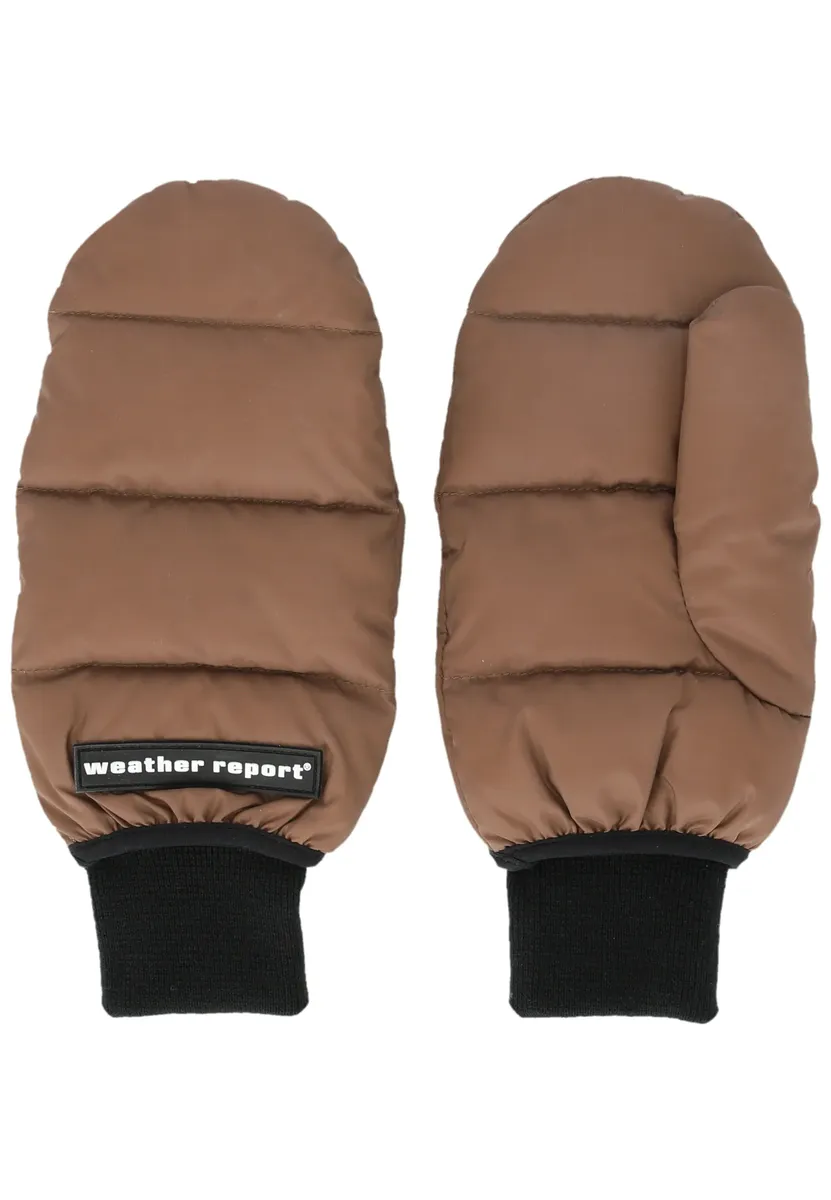 WEATHER REPORT Варежки "Козерог" с утепляющей подкладкой и водоотталкивающей мембраной, коричневый
WEATHER REPORT Варежки "Козерог" с утепляющей подкладкой и водоотталкивающей мембраной, коричневый