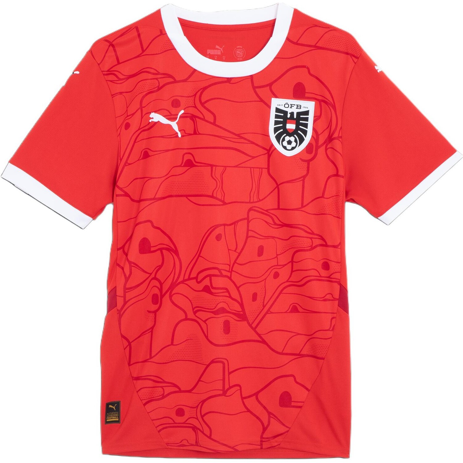 Футбольная майка сборной Австрии 24 мужская красная - темно-красная Puma, красный/темно-красный
Футбольная майка сборной Австрии 24 мужская красная - темно-красная Puma, красный/темно-красный