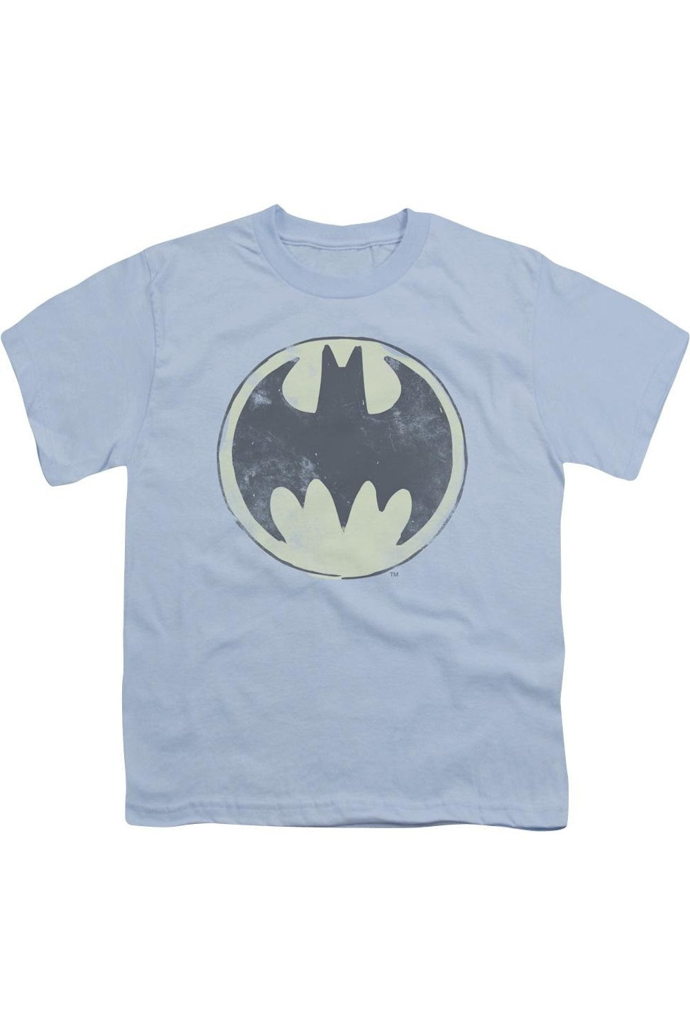 Футболка с классическим логотипом Batman для детей Gildan, светло-голубой
Футболка с классическим логотипом Batman для детей Gildan, светло-голубой
