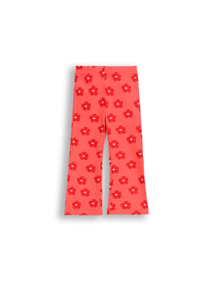 Леггинсы Coccodrillo 
Леггинсы Coccodrillo