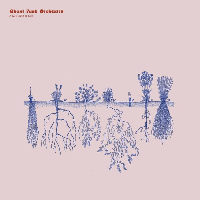 Виниловая пластинка Ghost Funk Orchestra - New Kind Of Love (Iex) Transparent Red
Виниловая пластинка Ghost Funk Orchestra - New Kind Of Love (Iex) Transparent Red