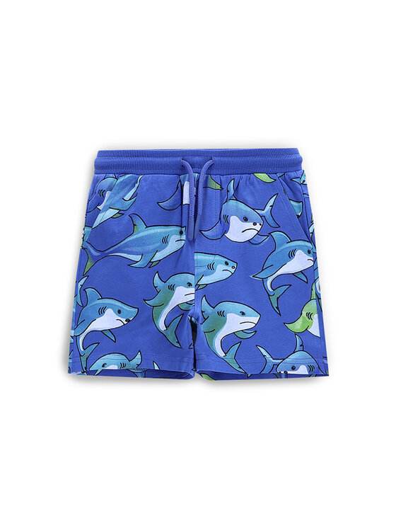 Спортивные шорты обычного кроя WC5121401IBK Coccodrillo, синий
Спортивные шорты обычного кроя WC5121401IBK Coccodrillo, синий