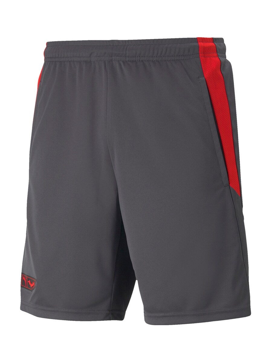 Обычные тренировочные брюки PUMA, серый
Обычные тренировочные брюки PUMA, серый