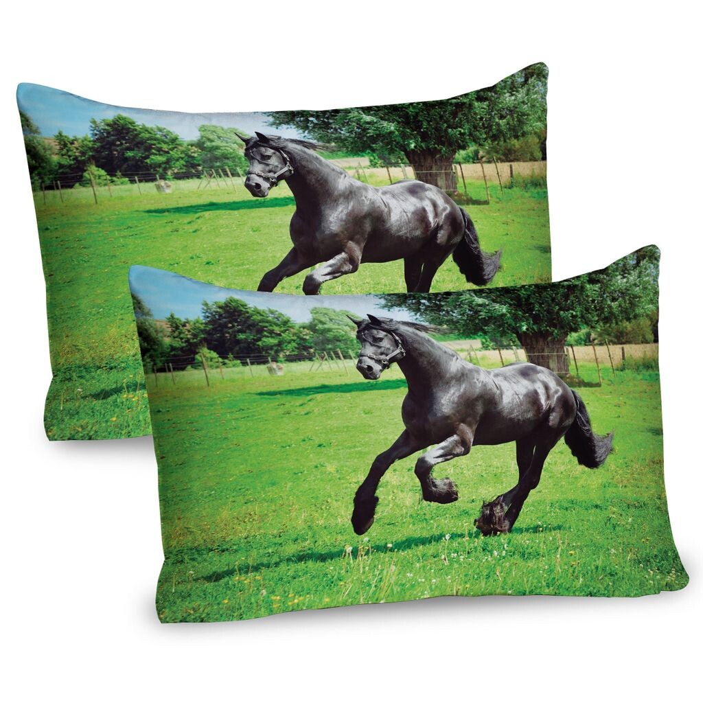Чехлы для подушек ABAKUHAUS Horse, набор из 2 шт., Фризский мужчина-Лошадь, мужчина-лошадь, движущая сила жизни, символ внутренней силы, чехол для подушки с декоративным принтом, 80 x 40 см, черно-зеленый
Чехлы для подушек ABAKUHAUS Horse, набор из 2 шт., Фризский мужчина-Лошадь, мужчина-лошадь, движущая сила жизни, символ внутренней силы, чехол для подушки с декоративным принтом, 80 x 40 см, черно-зеленый