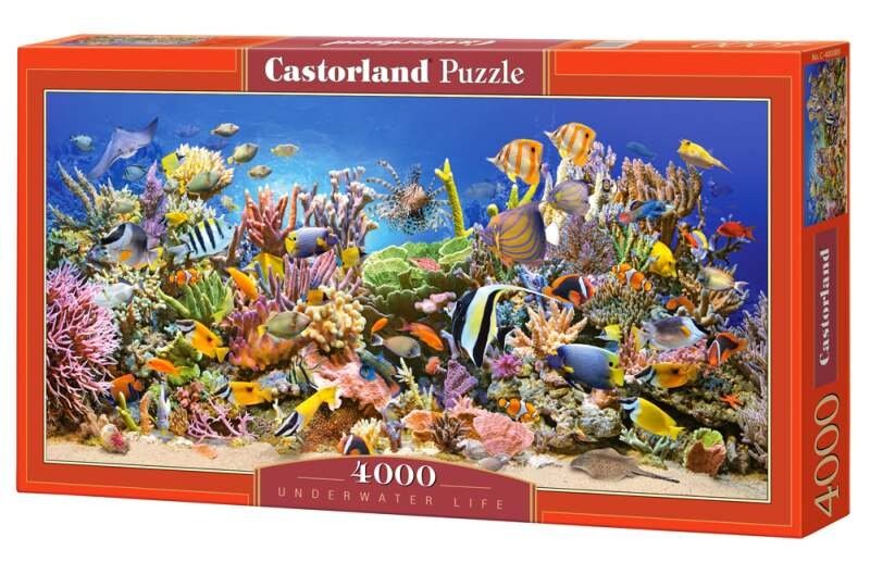 Касторланд, пазл Underwater Life, 4000 шт. Castorland
Касторланд, пазл Underwater Life, 4000 шт. Castorland