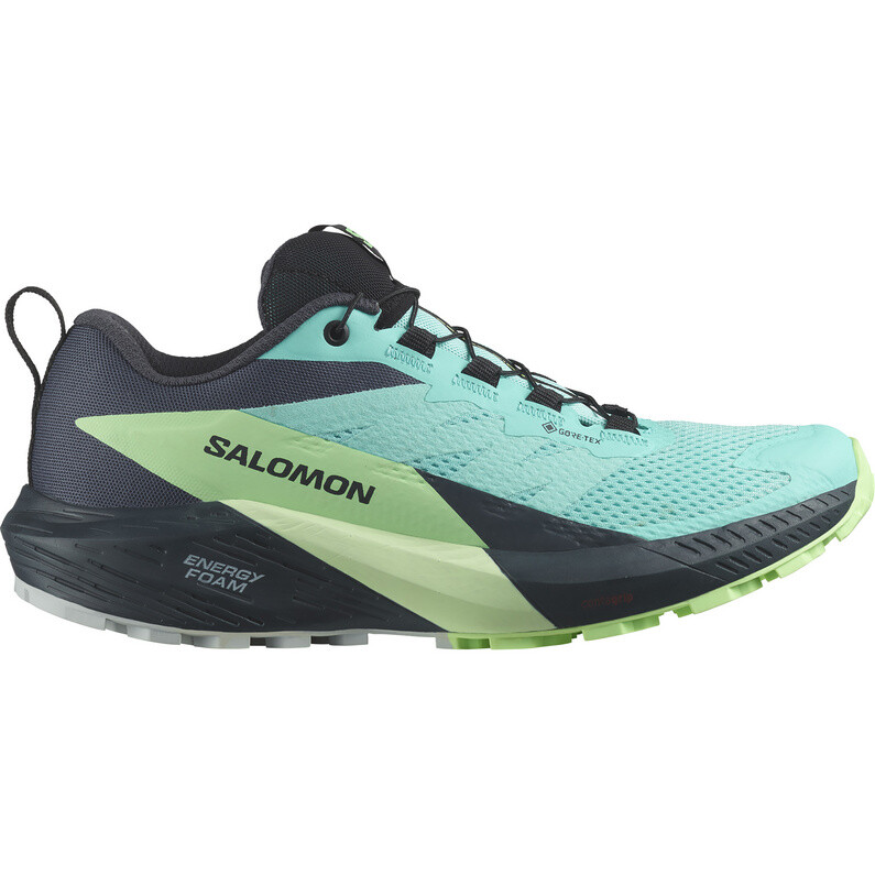 Женские туфли Sense Ride 5 GTX Salomon, бирюзовый
Женские туфли Sense Ride 5 GTX Salomon, бирюзовый