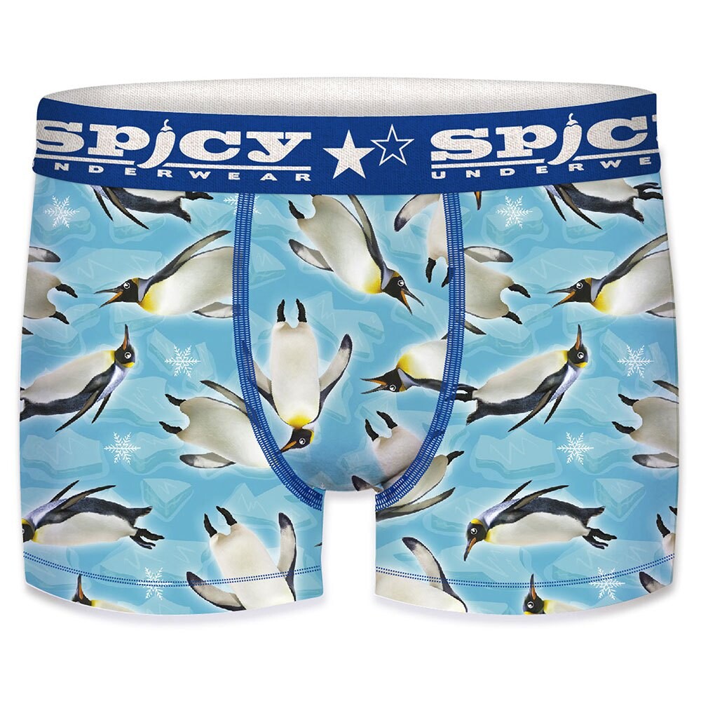 Боксеры Spicy T680-3, синий
Боксеры Spicy T680-3, синий