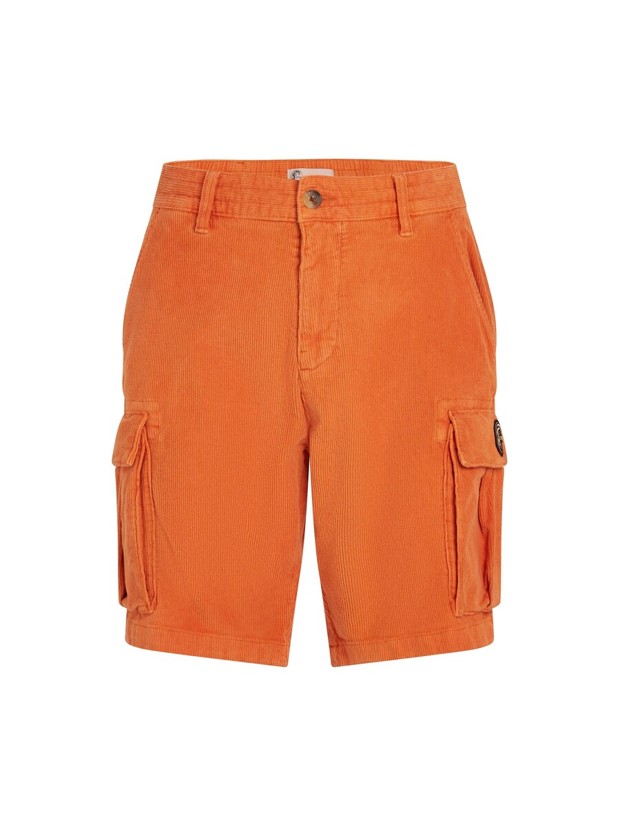 Обычные брюки-карго O'NEILL, оранжевый
Обычные брюки-карго O'NEILL, оранжевый