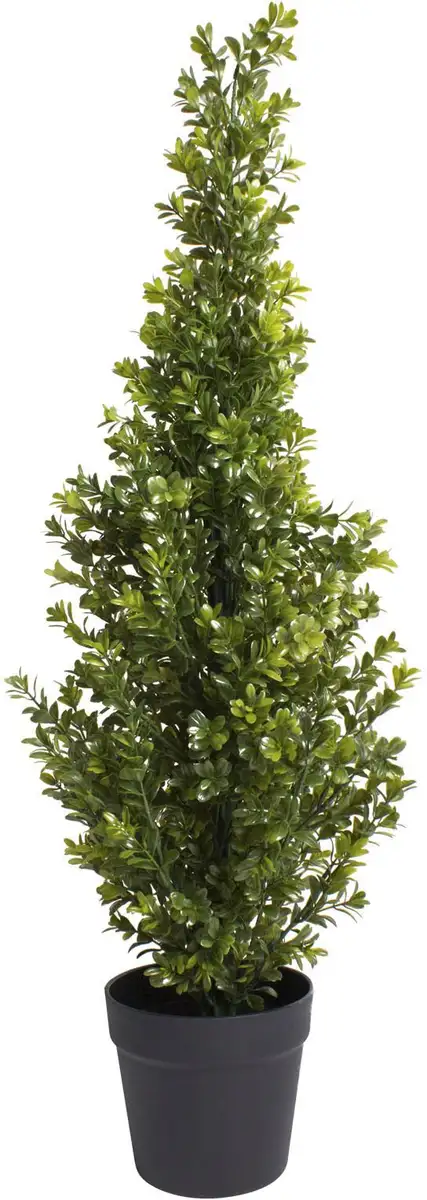 Botanic-Haus Искусственное комнатное растение "Самшит в горшке" Ø/29х90 см, зеленый
Botanic-Haus Искусственное комнатное растение "Самшит в горшке" Ø/29х90 см, зеленый