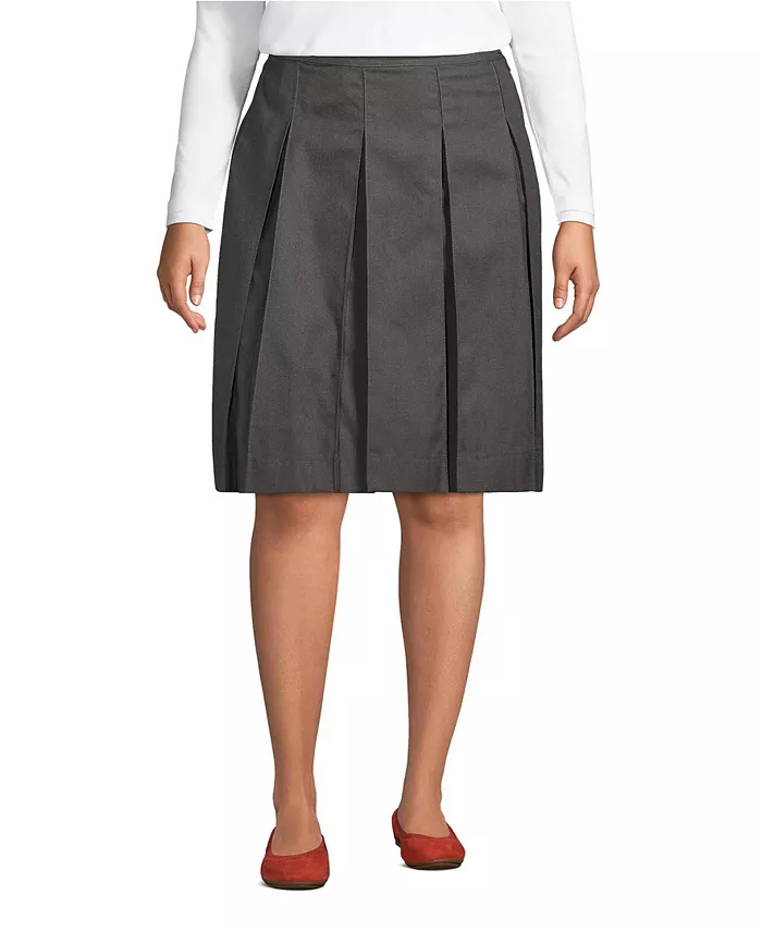 Юбка больших размеров с плиссировкой, выше колена Lands' End, серый
Юбка больших размеров с плиссировкой, выше колена Lands' End, серый