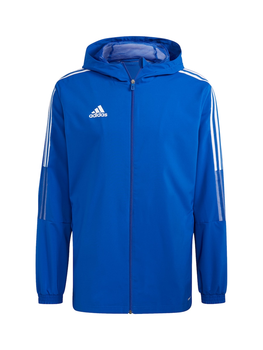 Узкая тренировочная куртка ADIDAS SPORTSWEAR Tiro 21, синий
Узкая тренировочная куртка ADIDAS SPORTSWEAR Tiro 21, синий