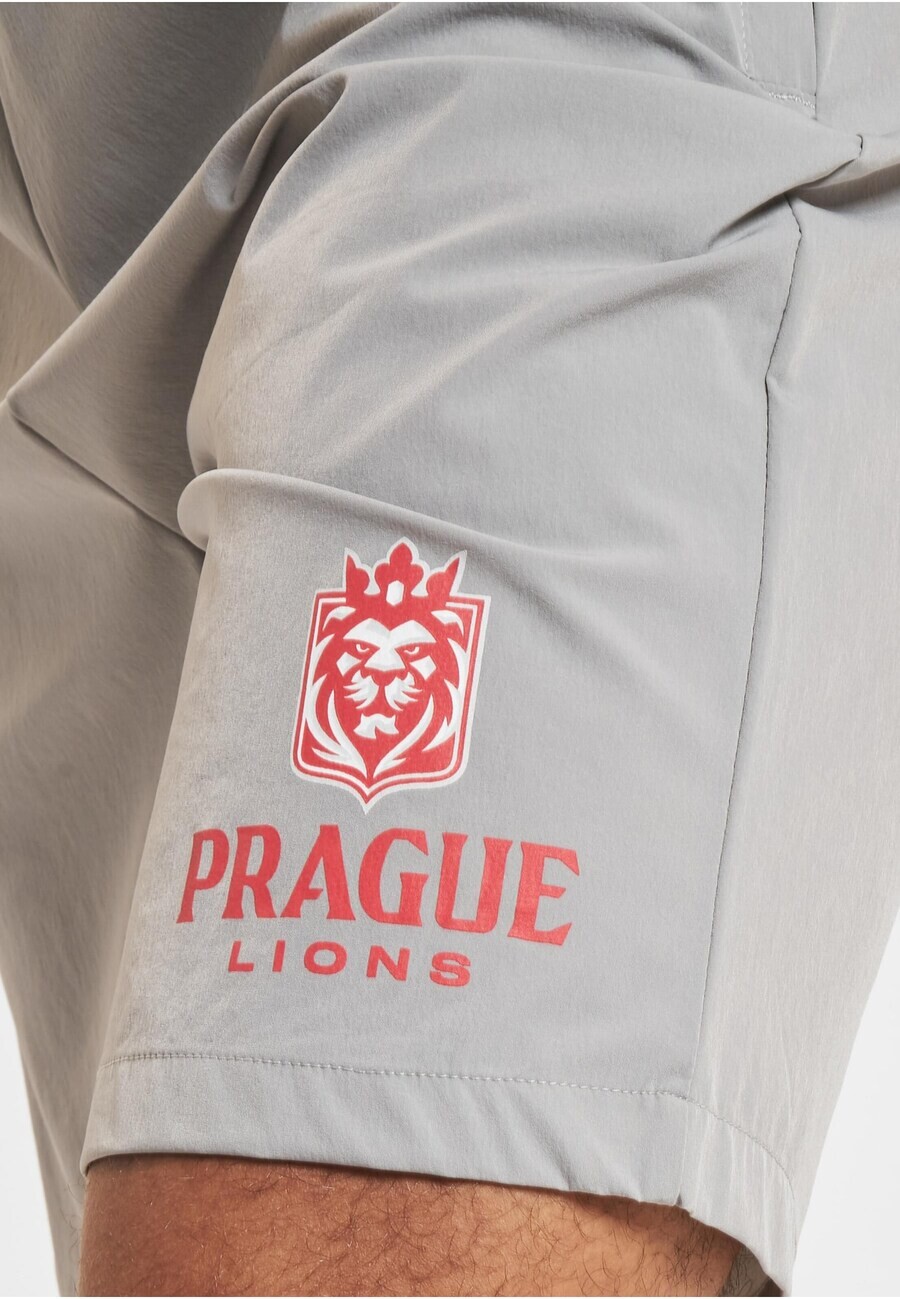 Шорты European League of Football Regular Pants x European League of Football Prague, серый
Шорты European League of Football Regular Pants x European League of Football Prague, серый