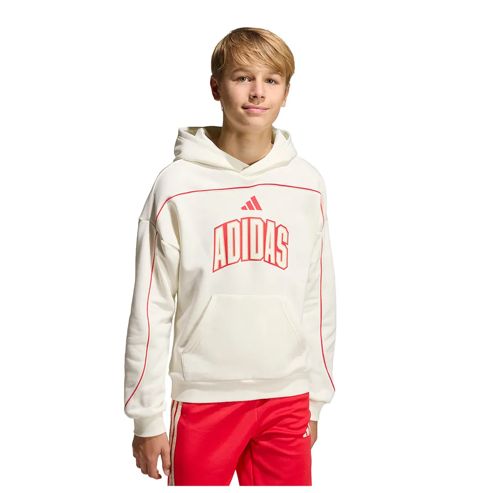 Худи adidas Stadium Lettering, белый
Худи adidas Stadium Lettering, белый
