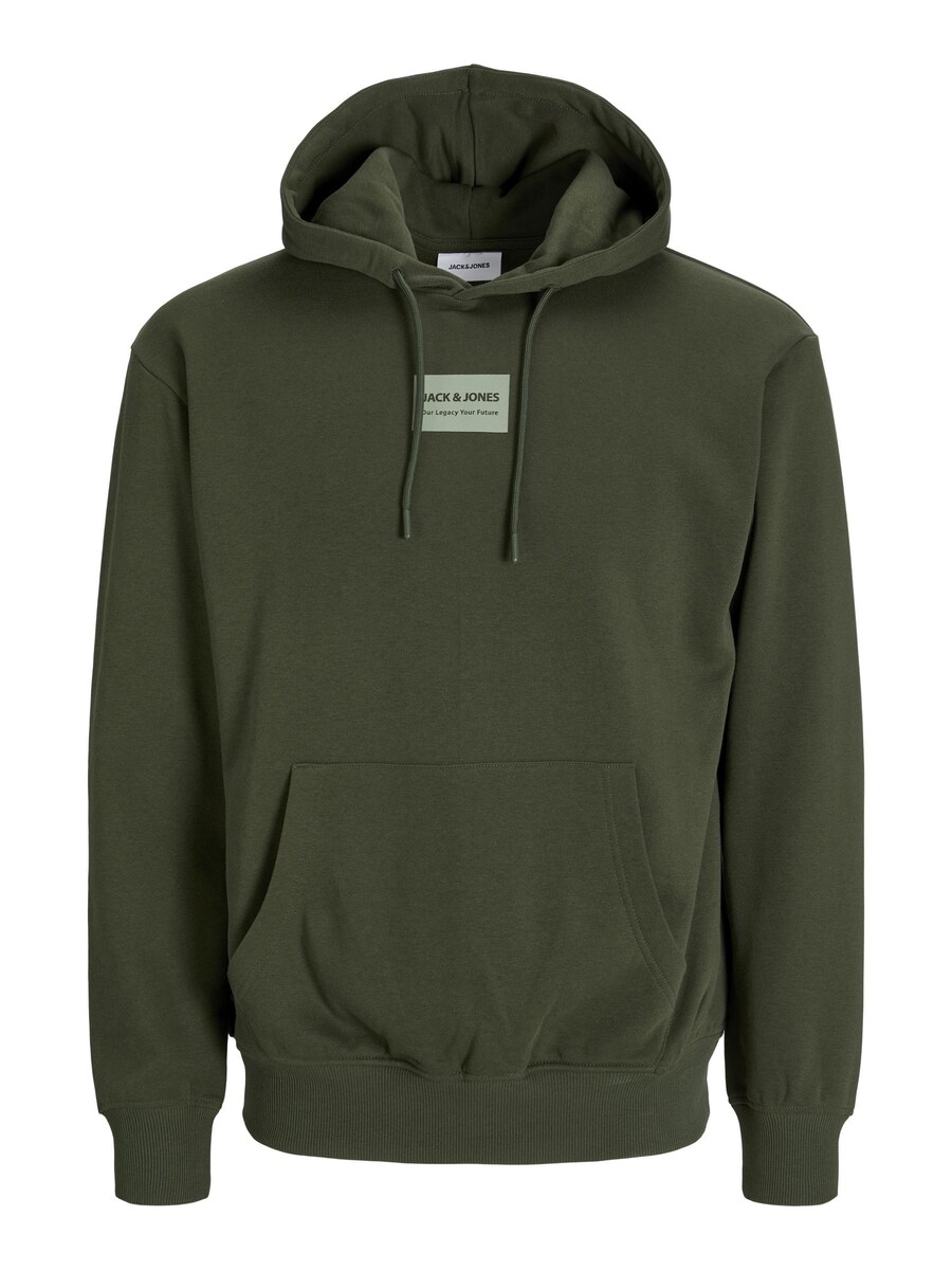 Толстовка JACK & JONES JACK & JONES JJHAKKAI, Green
Толстовка JACK & JONES JACK & JONES JJHAKKAI, Green