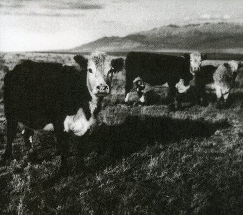 CD диск Kozelek, Mark: Finally
CD диск Kozelek, Mark: Finally