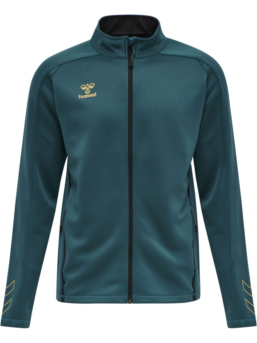 Спортивная толстовка с капюшоном на молнии Hummel Cima, изумрудный
Спортивная толстовка с капюшоном на молнии Hummel Cima, изумрудный