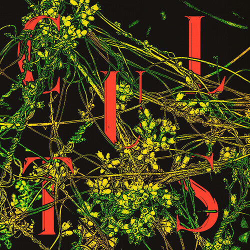 Виниловая пластинка Cults: Host
Виниловая пластинка Cults: Host