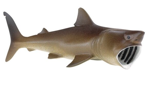 Safari Ltd 223429 Длинная пойманная акула 14,5 x 5,5 см
Safari Ltd 223429 Длинная пойманная акула 14,5 x 5,5 см
