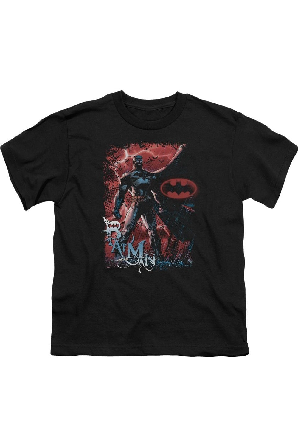 Футболка с коротким рукавом Batman Gotham Reign для детей Gildan, черный
Футболка с коротким рукавом Batman Gotham Reign для детей Gildan, черный