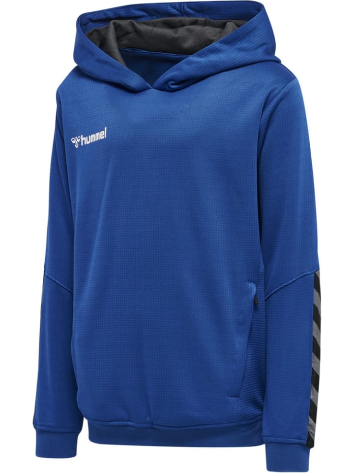 Детская толстовка синего цвета Hummel
Детская толстовка синего цвета Hummel