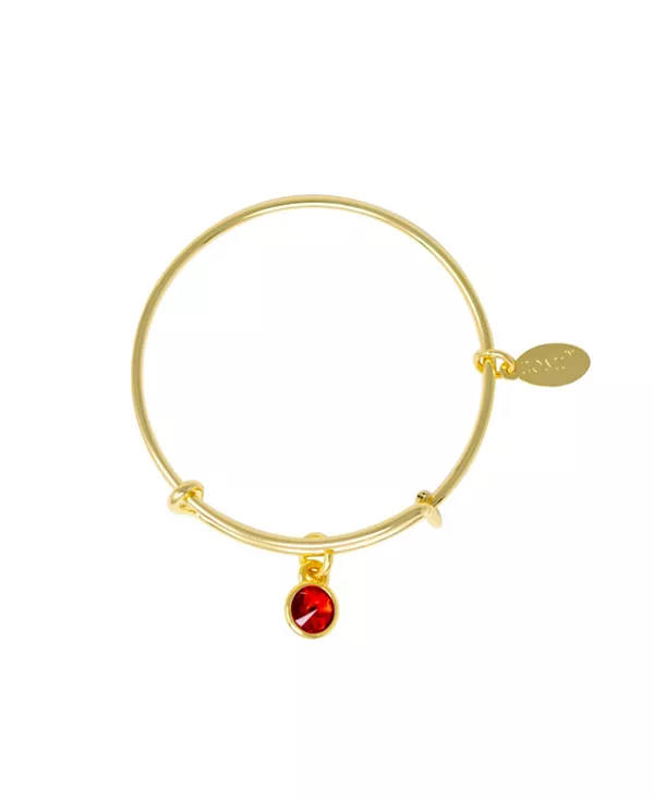 Браслет с камнями, соответствующими дате рождения, для детей Zomi Gems, july
Браслет с камнями, соответствующими дате рождения, для детей Zomi Gems, july