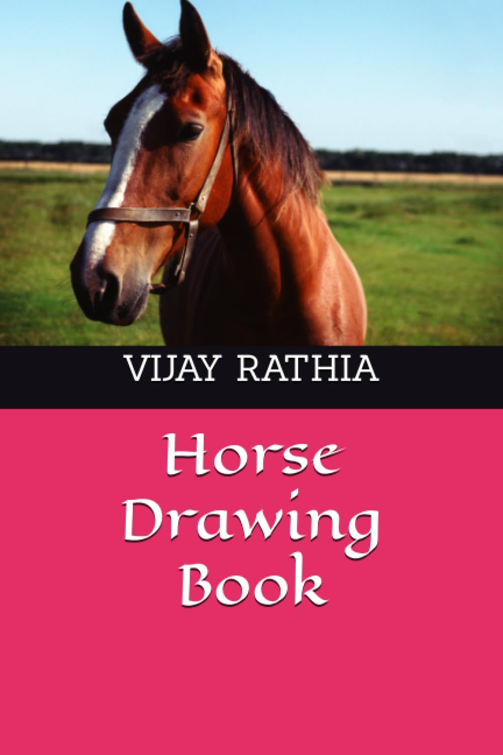 Horse Drawing Book (Independently published)
Horse Drawing Book (Independently published)
