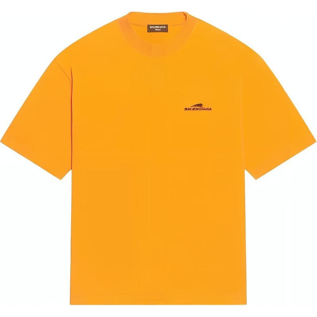 Футболка мужская Balenciaga, оранжевый
Футболка мужская Balenciaga, оранжевый