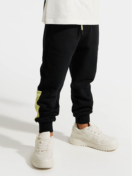 Спортивные брюки стандартного кроя Coccodrillo, черный
Спортивные брюки стандартного кроя Coccodrillo, черный