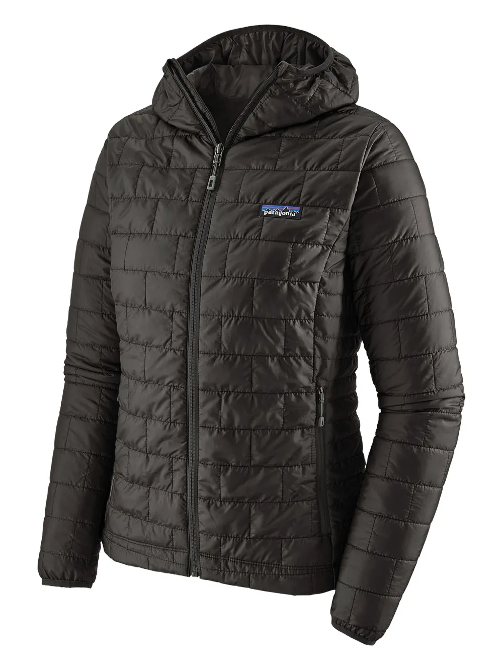 Куртка Nano Puff Hoody Patagonia, черный
Куртка Nano Puff Hoody Patagonia, черный