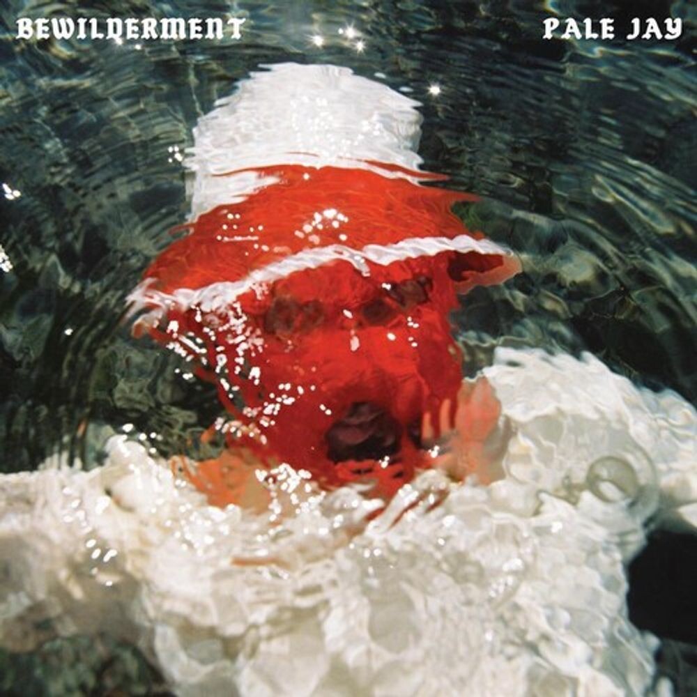 Диск CD Bewilderment - Pale Jay
Диск CD Bewilderment - Pale Jay