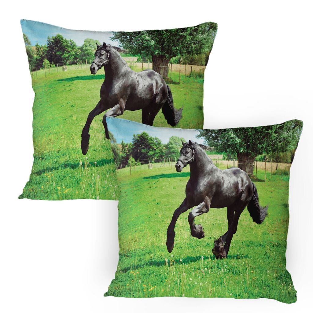 ABAKUHAUS Horse Чехлы для подушек, набор из 2 шт., Фризский мужчина-Лошадь Мужчина Движущая сила жизни Символ внутренней силы, Чехол для подушки с декоративным принтом, 80 x 80 см, Черный Зеленый
ABAKUHAUS Horse Чехлы для подушек, набор из 2 шт., Фризский мужчина-Лошадь Мужчина Движущая сила жизни Символ внутренней силы, Чехол для подушки с декоративным принтом, 80 x 80 см, Черный Зеленый