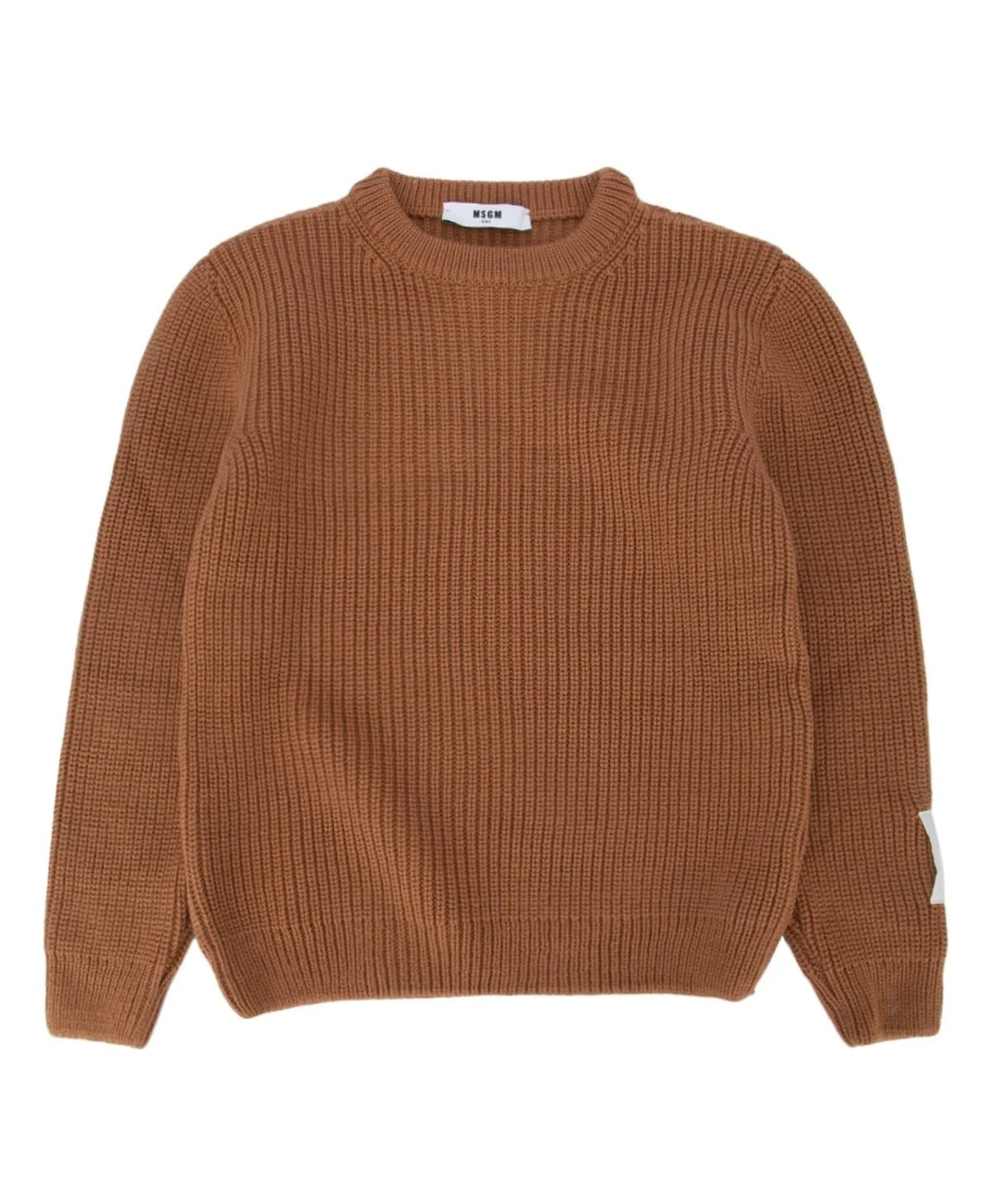 MSGM Детская Классическая Толстовка с Принтом Логотипа, Biscotto/Biscuit 
MSGM Детская Классическая Толстовка с Принтом Логотипа, Biscotto/Biscuit